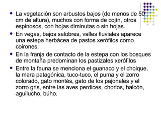 La vegetación son arbustos bajos (de menos de 50 cm de altura), muchos con forma de cojín, otros espinosos, con hojas diminutas o sin hojas.  En vegas, bajos salobres, valles fluviales aparece una estepa herbácea de pastos xerófilos como coirones. En la franja de contacto de la estepa con los bosques de montaña predominan los pastizales xerófilos Entre la fauna se menciona el guanaco y el choique, la mara patagónica, tuco-tuco, el puma y el zorro colorado, gato montés, gato de los pajonales y el zorro gris, entre las aves perdices, chorlos,   halcón, aguilucho, búho.   