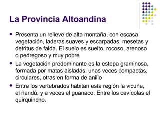 La Provincia Altoandina Presenta un relieve de alta montaña, con escasa vegetación, laderas suaves y escarpadas, mesetas y detritus de falda. El suelo es suelto, rocoso, arenoso o pedregoso y muy pobre  La vegetación predominante es la estepa graminosa, formada por matas aisladas, unas veces compactas, circulares, otras en forma de anillo  Entre los vertebrados habitan esta región la vicuña, el ñandú, y a veces el guanaco. Entre los cavícolas el quirquincho. 