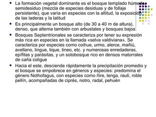 La formación vegetal dominante es el bosque templado húmedo, semidesiduo (mezcla de especies desiduas y de follaje persistente), que varía en especies con la altitud, la exposición de las laderas y la latitud   Es principalmente un bosque alto (de 30 a 40 m de altura), denso, que alterna también con arbustales y bosques bajos.  Bosques Septentrionales se caracteriza por tener su expresión más rica en especies en la llamada «selva valdiviana» . S e caracteriza por especies como coihue, urmo, alerce, mañiú,  avellano, lingue, tique, tineo, etc. y numerosas enredaderas, epífitas y parásitas, y un sotobosque rico en densos matorrales de caña coligue   Hacia el este, desciende rápidamente la precipitación promedio y el bosque se empobrece en géneros y especies: predomina el género Nothofagus, con especies como ñire, lenga, raulí, roble pellín, acompañadas de ciprés, notro, radal, pehuén  