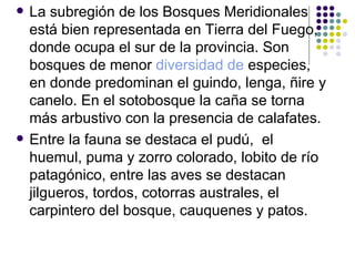 La subregión de los Bosques Meridionales está bien representada en Tierra del Fuego, donde ocupa el sur de la provincia. Son bosques de menor  diversidad de  especies, en donde predominan el guindo, lenga, ñire y canelo. En el sotobosque la caña se torna más arbustivo con la presencia de calafates.   Entre la fauna se destaca el pudú,  el huemul, puma y zorro colorado, lobito de río patagónico, entre las aves se destacan jilgueros, tordos, cotorras australes, el carpintero del bosque, cauquenes y patos. 