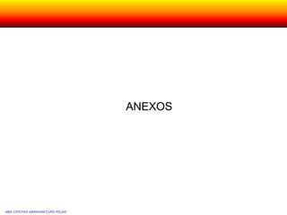 MBA CRISTIAN ABRAHAM CURO ROJAS
ANEXOS
 