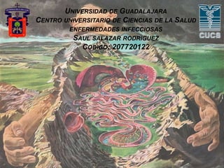 UNIVERSIDAD DE GUADALAJARA
CENTRO UNIVERSITARIO DE CIENCIAS DE LA SALUD
ENFERMEDADES INFECCIOSAS
SAUL SALAZAR RODRIGUEZ
CODIGO: 207720122
 