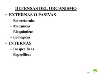 M.E.S 
DEFENSAS DEL ORGANISMO 
• EXTERNAS O PASIVAS 
– Estructurales 
– Mecánicas 
– Bioquímicas 
– Ecológicas 
• INTERNAS 
– Inespecíficas 
– Especificas 
 