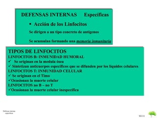M.E.S 
Defensas internas 
especificas 
DEFENSAS INTERNAS Específicas 
 Acción de los Linfocitos 
Se dirigen a un tipo concreto de antígenos 
Se acumulan formando una memoria inmunitaria 
TIPOS DE LINFOCITOS 
LINFOCITOS B: INMUNIDAD HUMORAL 
 Se originan en la medula ósea 
 Sintetizan anticuerpos específicos que se difunden por los líquidos celulares 
LINFOCITOS T: INMUNIDAD CELULAR 
 Se originan en el Timo 
Ocasionan la muerte celular 
LINFOCITOS no B – no T 
Ocasionan la muerte celular inespecífica 
 
