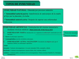 M.E.S 
INMUNIDAD NATURAL: Obtenida por procesos naturales 
 Inmunidad natural pasiva: transferencia de anticuerpos de la madre 
al hijo por la placenta y la leche 
Inmunidad natural activa: Después de superar una enfermedad 
infecciosa 
INMUNIDAD ARTIFICIAL: Estimulación del sistema inmunitario 
mediante técnicas médicas: PROCESOS DE INMUNIZACIÓN 
1. INMUNIZACION PASIVA: Introducción en el organismo de anticuerpos sintetizados por otro 
individuo 
 Sueros de anticuerpos específicos 
 Gammaglobulinas mezclas de distintos anticuerpos 
2. INMUNIZACION ACTIVA. VACUNACION: Inoculación de antígenos para que el 
organismo sintetice los anticuerpos específicos 
TIPOS 
Atenuadas: Contienen microorganismos vivos pero atenuados Polio, sarampión, rubéola 
Inactivadas: Contienen microorganismos muertos Rabia, tifus, tosferina, difteria 
Acelulares: Contienen partes o productos de los microorganismos Tétanos (toxinas) Hepatitis B y Meningitis 
meningocócica 
Tipos de 
inmunidad 
Protección inmediata 
Duración limitada 
TIPOS DE INMUNIDAD 
 