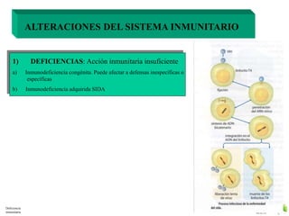 M.E.S 
ALTERACIONES DEL SISTEMA INMUNITARIO 
1) DEFICIENCIAS: Acción inmunitaria insuficiente 
a) Inmunodeficiencia congénita. Puede afectar a defensas inespecíficas o 
específicas 
b) Inmunodeficiencia adquirida SIDA 
Deficiencia 
inmunitaria 
 