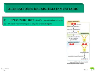 M.E.S 
ALTERACIONES DEL SISTEMA INMUNITARIO 
2) HIPERSENSIBILIDAD: Acción inmunitaria excesiva 
a) De tipo I: Reacción alérgica El antigeno se llama alergeno 
Hipersensibilidad 
Tipo I 
 