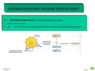 M.E.S 
ALTERACIONES DEL SISTEMA INMUNITARIO 
2) HIPERSENSIBILIDAD: Acción inmunitaria excesiva 
a) De tipo I: Reacción alérgica 
b) De tipo II: Citotóxica. Los antígenos están situados en células. Enfermedades autoinmunitarias 
Hipersensibilidad 
Tipo II 
 