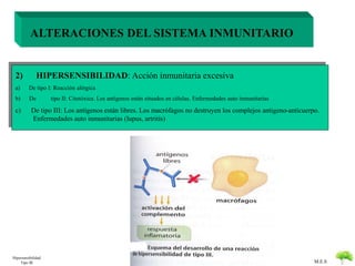 M.E.S 
ALTERACIONES DEL SISTEMA INMUNITARIO 
2) HIPERSENSIBILIDAD: Acción inmunitaria excesiva 
a) De tipo I: Reacción alérgica 
b) De tipo II: Citotóxica. Los antígenos están situados en células. Enfermedades auto inmunitarias 
c) De tipo III: Los antígenos están libres. Los macrófagos no destruyen los complejos antigeno-anticuerpo. 
Enfermedades auto inmunitarias (lupus, artritis) 
Hipersensibilidad 
Tipo III 
 