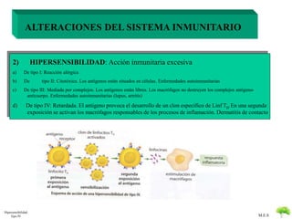 M.E.S 
ALTERACIONES DEL SISTEMA INMUNITARIO 
2) HIPERSENSIBILIDAD: Acción inmunitaria excesiva 
a) De tipo I: Reacción alérgica 
b) De tipo II: Citotóxica. Los antígenos están situados en células. Enfermedades autoinmunitarias 
c) De tipo III: Mediada por complejos. Los antígenos están libres. Los macrófagos no destruyen los complejos antigeno-anticuerpo. 
Enfermedades autoinmunitarias (lupus, artritis) 
d) De tipo IV: Retardada. El antigeno provoca el desarrollo de un clon especifico de Linf TD En una segunda 
exposición se activan los macrófagos responsables de los procesos de inflamación. Dermatitis de contacto 
Hipersensibilidad 
Tipo IV 
 