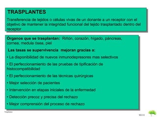 TRASPLANTES 
Transferencia de tejidos o células vivas de un donante a un receptor con el 
objetivo de mantener la integridad funcional del tejido trasplantado dentro del 
receptor 
M.E.S 
Órganos que se trasplantan: Riñón, corazón, hígado, páncreas, 
cornea, medula ósea, piel 
Las tasas se supervivencia mejoran gracias a: 
• La disponibilidad de nuevos inmunodepresores mas selectivos 
• El perfeccionamiento de las pruebas de tipificación de 
histocompatibilidad 
• El perfeccionamiento de las técnicas quirúrgicas 
• Mejor selección de pacientes 
• Intervención en etapas iniciales de la enfermedad 
• Detección precoz y precisa del rechazo 
• Mejor comprensión del proceso de rechazo 
Trasplantes 
 