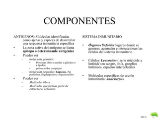 M.E.S 
COMPONENTES 
ANTIGENOS: Moléculas identificadas 
como ajenas y capaces de desarrollar 
una respuesta inmunitaria específica 
• La zona activa del antígeno se llama 
epítopo o determinante antigénico 
• Pueden ser 
– moléculas grandes: 
• Proteínas libres o unidas a glúcidos o 
a lípidos; 
• polisacáridos complejos 
– moléculas pequeñas: haptenos. Pej 
penicilina, oligopéptidos y oligosacáridos 
• Pueden ser 
– Moléculas libres 
– Moléculas que forman parte de 
estructuras celulares 
SISTEMA INMUNITARIO 
• Órganos linfoides lugares donde se 
generan, acumulan e interaccionan las 
células del sistema inmunitario 
• Células: Leucocitos ( serie mieloide y 
linfoide) en sangre, linfa, ganglios 
linfáticos, espacios intercelulares 
• Moléculas especificas de acción 
inmunitaria: anticuerpos 
 