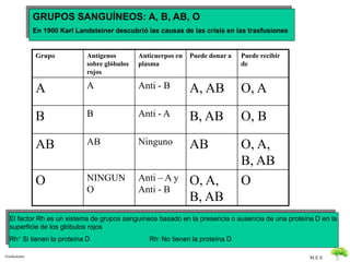 M.E.S 
GRUPOS SANGUÍNEOS: A, B, AB, O 
En 1900 Karl Landsteiner descubrió las causas de las crisis en las trasfusiones 
Grupo Antígenos 
sobre glóbulos 
rojos 
Anticuerpos en 
plasma 
Puede donar a Puede recibir 
de 
A A Anti - B A, AB O, A 
B B Anti - A B, AB O, B 
AB AB Ninguno AB O, A, 
B, AB 
O NINGUN 
O 
Anti – A y 
Anti - B 
O, A, 
B, AB 
O 
El factor Rh es un sistema de grupos sanguíneos basado en la presencia o ausencia de una proteína D en la 
superficie de los glóbulos rojos 
Rh+ Si tienen la proteína D Rh- No tienen la proteína D 
Trasfusiones 
 
