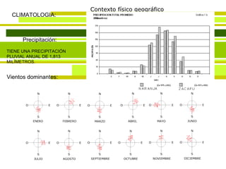Contexto físico geográfico CLIMATOLOGIA: Precipitación: Vientos dominantes: TIENE UNA PRECIPITACIÓN PLUVIAL ANUAL DE 1,813 MILÍMETROS. 