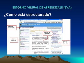 ENTORNO VIRTUAL DE APRENDIZAJE (EVA) ¿Cómo está estructurado? 