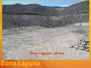 Zona Laguna
 