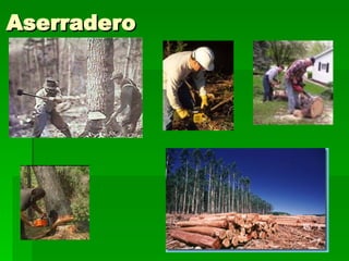 Aserradero 