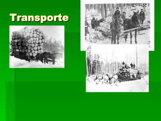 Transporte 