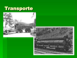 Transporte 