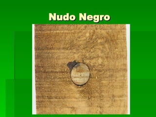 Nudo Negro 