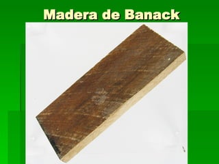Madera de Banack 