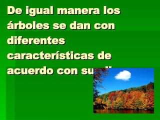 De igual manera los árboles se dan con diferentes características de acuerdo con su clima 