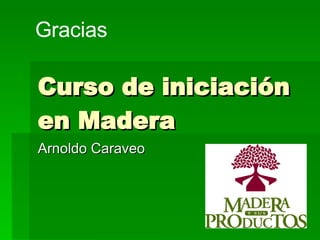 Curso de iniciación en Madera Arnoldo Caraveo Gracias 