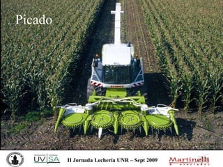 Picado 
