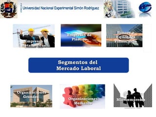 Organizaciones Grandes  Organizaciones Medianas Segmentos del  Mercado Laboral Empresas Metalúrgicas Empresas de Plástico Bancos o Entidades Financieras Microempresas bbbbbb 