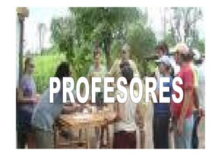 SERVICIO COMUNITARIO.