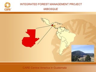 INTEGRATED FOREST MANAGEMENT PROJECT MIBOSQUE  CARE Central America in Guatemala 