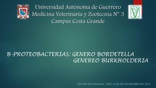 Universidad Autónoma de Guerrero
Medicina Veterinaria y Zootecnia N° 3
Campus Costa Grande
TECPAN DE GALEANA, GRO A; 05 DE NOVIEMBRE DEL 2015
B-PROTEOBACTERIAS: GENERO BORDETELLA
GENEREO BURKHOLDERIA
 