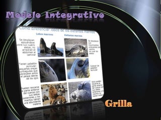 Presentacion -  Modelo Integrativo