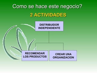 Como se hace este negocio? 2 ACTIVIDADES DISTRIBUIDOR INDEPENDIENTE CREAR UNA ORGANIZACION RECOMENDAR LOS PRODUCTOS 