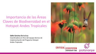 Importancia de las Áreas
Claves de Biodiversidad en el
Hotspot Andes Tropicales
Odile Sánchez De la Cruz
Coordinadora en Perú del equipo técnico de
implementación del Programa Hotspot
Andes Tropicales
 