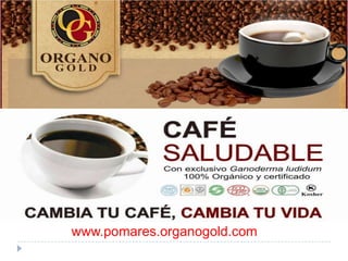 Negocios del café
                 www.negociosdelcafe.com




www.pomares.organogold.com
 