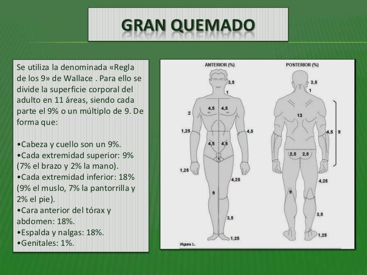 PROGRAMA AUXILIAR DE ENFERMERIA PROGRAMA AUXILIAR DE ENFERMERIA