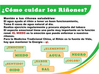 ¿Cómo cuidar los Riñones? Mantén a tus riñones saludables: El agua ayuda al riñón a tener un buen funcionamiento, Toma 8 vasos de agua natural al día. Realiza ejercicio regularmente y procura alejarte del tabaco El aspecto emocional tiene una parte muy importante en la función renal.  EL MIEDO   es la emoción que puede enfermar a nuestros riñones. Para la Medicina Tradicional China, el Riñón es la fuente de Vida, hay que mantener la Energia –  qi. ¿EMOCION? ¿SABOR? ¿SENTIDO? ¿COLOR? OIDO ¿ELEMENTO? MIEDO SAL AGUA NEGRO 