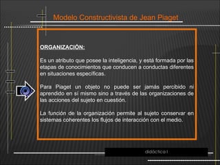 Modelo Constructivista de Jean Piaget
ORGANIZACIÓN:
Es un atributo que posee la inteligencia, y está formada por las
etapas de conocimientos que conducen a conductas diferentes
en situaciones específicas.
Para Piaget un objeto no puede ser jamás percibido ni
aprendido en sí mismo sino a través de las organizaciones de
las acciones del sujeto en cuestión.
La función de la organización permite al sujeto conservar en
sistemas coherentes los flujos de interacción con el medio.
didáctica I
 