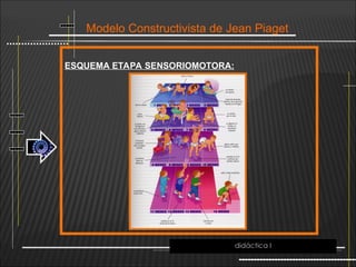 Modelo Constructivista de Jean Piaget
ESQUEMA ETAPA SENSORIOMOTORA:
didáctica I
 