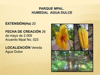 EXTENSIÓN(Ha) 20

FECHA DE CREACIÓN 26
de mayo de 2.009
Acuerdo Mpal No. 023

LOCALIZACIÓN Vereda
Agua Dulce
 