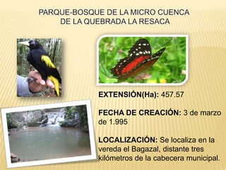 EXTENSIÓN(Ha): 457.57

FECHA DE CREACIÓN: 3 de marzo
de 1.995

LOCALIZACIÓN: Se localiza en la
vereda el Bagazal, distante tres
kilómetros de la cabecera municipal.
 