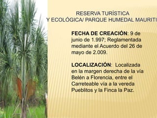 FECHA DE CREACIÓN: 9 de
junio de 1.997; Reglamentada
mediante el Acuerdo del 26 de
mayo de 2.009.

LOCALIZACIÓN: Localizada
en la margen derecha de la vía
Belén a Florencia, entre el
Carreteable vía a la vereda
Pueblitos y la Finca la Paz.
 