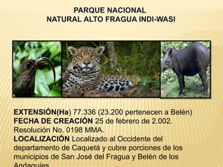 EXTENSIÓN(Ha) 77.336 (23.200 pertenecen a Belén)
FECHA DE CREACIÓN 25 de febrero de 2.002.
Resolución No. 0198 MMA.
LOCALIZACIÓN Localizado al Occidente del
departamento de Caquetá y cubre porciones de los
municipios de San José del Fragua y Belén de los
 