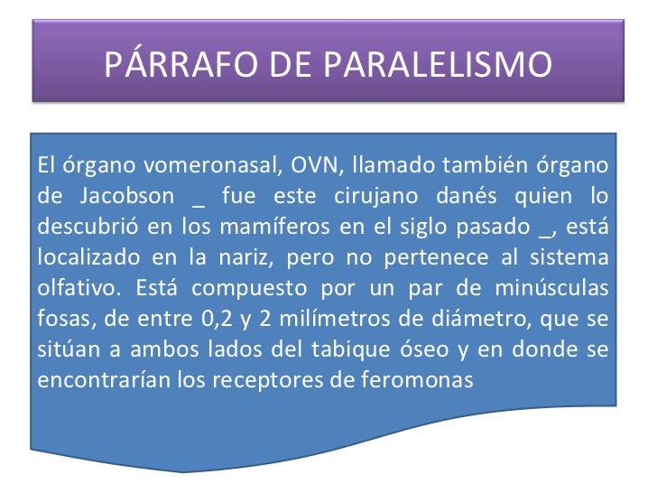 Presentacion Parrafo 1