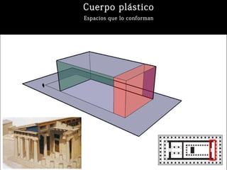 Cuerpo plástico
Espacios que lo conforman
 