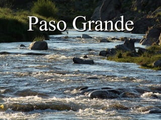 Paso Grande 