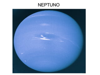 NEPTUNO 