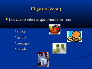 El gusto (cont.)

   Los cuatro sabores que principales son:

       * dulce
       * ácido
       * amargo
       * salado
 