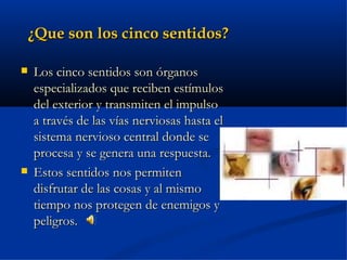 ¿Que son los cinco sentidos?

   Los cinco sentidos son órganos
    especializados que reciben estímulos
    del exterior y transmiten el impulso
    a través de las vías nerviosas hasta el
    sistema nervioso central donde se
    procesa y se genera una respuesta.
   Estos sentidos nos permiten
    disfrutar de las cosas y al mismo
    tiempo nos protegen de enemigos y
    peligros.
 